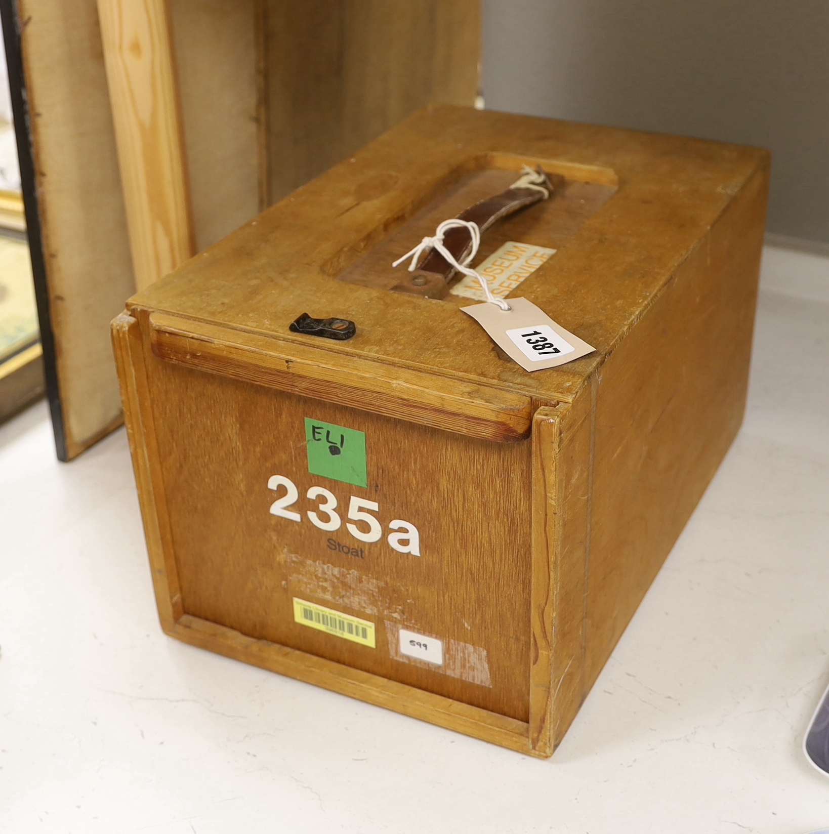 A cased museum mounted taxidermy specimen of a stoat and two mounted moths